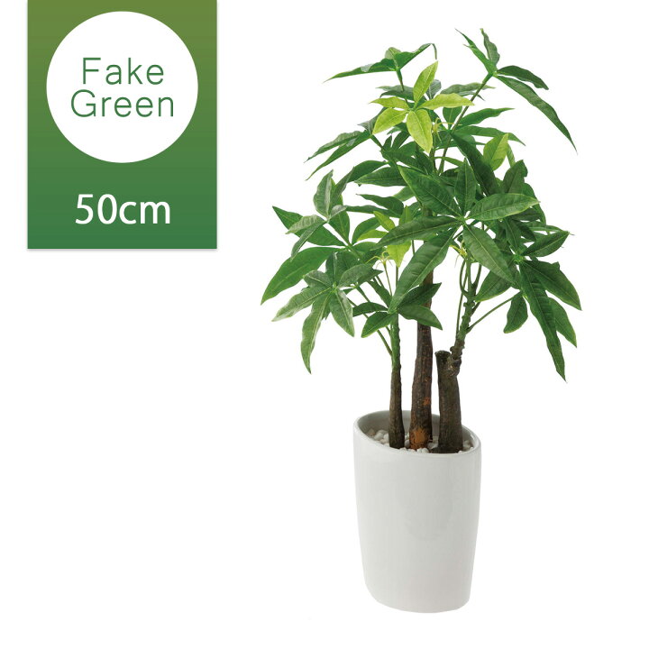 楽天市場 フェイクグリーン 人工観葉植物 ロングパキラオーバルポット パキラ 鉢 造花 インテリア 葉っぱ ナチュラル 飾り おしゃれ グリーン 緑 屋内 オフィス 空間 部屋 模様替え 贈り物 Gla1229 新生活 In Crasso