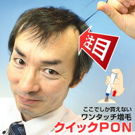 クイックPON　クイックポン　増毛 植毛 かつら 抜け毛 薄毛 メンズ レディース ウィッグ かつら 増毛シー…