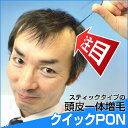 クイックPON（クイックポン） 24スティック入り（+3本増量中）かつら・増毛 ランキングお取り寄せ