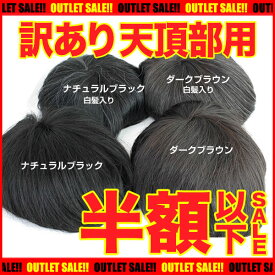 【訳ありアウトレット】天頂部用(1枚)※本体のみ※2枚以上の注文は確認後に金額変更します