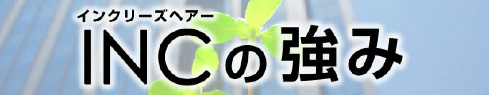 INCの強み
