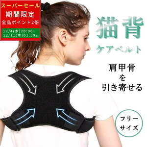 yX[p[Z[ Ԍ P2{zb 񂹂 Lwxg LwPAxg Y fB[X p␳  Lw␳ j p T|[^[ bV \tgf  