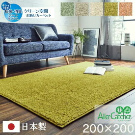 【 200×200 】【 サンティエ 】 ラグ カーペット 日本製 抗菌 消臭 清潔 防炎 アレルキャッチャー 抗アレル物質 ダニ対策 シャギー 無地 オールシーズン 正方形 ペールブルー オリーブ グレージュ アイボリー ペールピンク 送料無料 メーカー直送