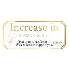 インクリースイン　楽天市場店