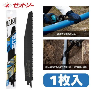 [bg\[ Vv rpn210 P2.0 ֐n 1 20113 cHƏ Vv\[ Z[o[\[ ֐n r |G`