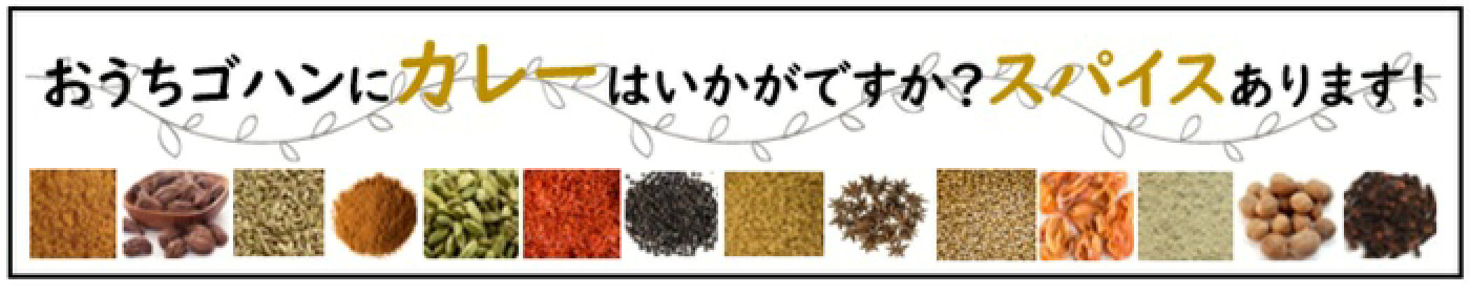 スパイス｜SPICE