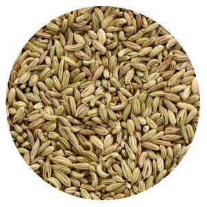 �yFENNEL SEED 100g�z�t�F���l�� �V�[�h 100g �X�p�C�X �C���h �J���[