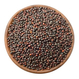 �yMUSTARD SEED BROWN 100g�z�}�X�^�[�h �V�[�h �u���E�� 100g �X�p�C�X �C���h �J���[