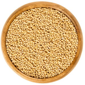 �yMUSTARD SEED YELLOW 100g�z�}�X�^�[�h �V�[�h �C�G���[ 100g �X�p�C�X �C���h �J���[