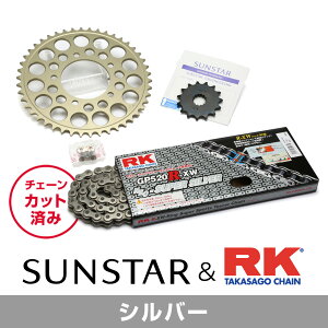 SUNSTAR TX^[ `F[&XvPbg 3_Zbg RK`F[ SV520XRE Vo[ KԎ KAWASAKI ZEPHYR  N96 KR3L502