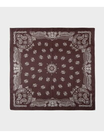 【SALE／15%OFF】リネン調ペーズリースカーフ INDIVI インディヴィ ファッション雑貨 スカーフ・バンダナ グレー ブラウン【RBA_E】【送料無料】[Rakuten Fashion]