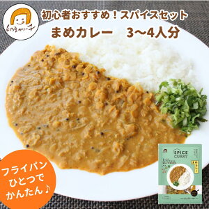 �y�zSPICE CURRY �܂߃J���[ ���t�� �X�p�C�X�Z�b�g 3 �`4�l�� | ��x�J���[�q�@�g���؂�ŗ]��Ȃ� ���S��OK ���X�݂����� �_���J���[ �������s�g�p ���Y��