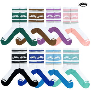 �y���[���֑Ή��zCHILLIN LUMINOUS LOGO SOCKS�yBLACK/BLUE/SKY BLUE/MINT/GREEN/BROWN/PURPLE/PINK�z(�`���� �ʔ� �� �\�b�N�X �C�� ���� ���S)