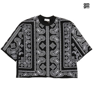 �ySPECIAL PRICE�����������zAMGM STUDIO PAISLEY PREMIUM CROPPED T�V���c�yBLACK�z(M�EL�EXL�E2XL)(�ʔ� �� �����Y �傫���T�C�Y TEE ���� �V���[�g�X���[�u �N���b�v�hT �N���b�vT �{�b�N�X�V���G�b�g �I�[�o