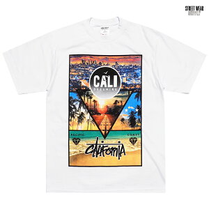 �ySPECIAL PRICE�����������zSTREETWEAR SUPPLY CALI DREAMING T�V���c�yWHITE�z(M�EL�EXL�E2XL�E3XL)(�X�g���[�g�E�G�A�T�v���C �ʔ� �����Y �傫���T�C�Y �w�r�[�E�G�C�g ���� T-SHIRTS �X�g���[�g �J���t�H��