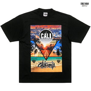 �ySPECIAL PRICE�����������zSTREETWEAR SUPPLY CALI DREAMING T�V���c�yBLACK�z(M�EL�EXL�E2XL�E3XL)(�X�g���[�g�E�G�A�T�v���C �ʔ� �����Y �傫���T�C�Y �w�r�[�E�G�C�g ���� T-SHIRTS �X�g���[�g �J���t�H��