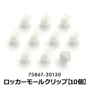 ANF10 ���N�T�X HS250h �p�l���g�����N���b�v ���b�J�p�l�����[���f�B���O �݊��i�� 75867-30130 10��