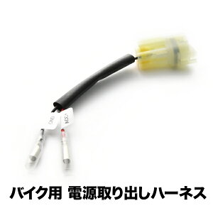 don[lX X[p[JuC125 (JA48 SԎ) Jv[ ACCd ANZT[d sgb2