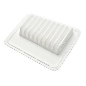 ML21S [NX GAtB^[ GAN[i[ H21.12-H25.3 NAm^[{Ԑpi AIRF10