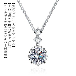 v`idグ ATiCg 925Vo[ lbNX lbNX AM[  AM[Ή Vv 1ct ANZT[ uh fB[X P JWA  