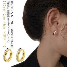 2個セット 12mm 金属アレルギー対応 ボディピアス 軟骨ピアス ピアス 送料無料 金属アレルギー 4個セット】 リングピアス シルバー ゴールド 両耳用 14mm キュービックジルコニア つけっぱなし 【10mm