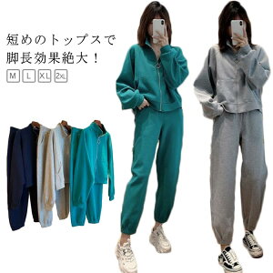 n fB[X 30 V[g p[J[ pW} W[W  [EFA Opc XEFbg ㉺Zbg Zbg X|[eB[ W[W  ؍ H~ W Ȃꊴ Z