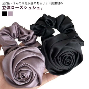 Te [Y VV wAS  傫 KN o  ubN p[v n wAANZT[   Ǝ  w S   p[eB[ l 