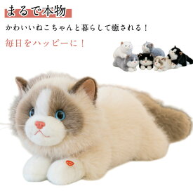 ぬいぐるみ ネコ ねこ 猫 おもちゃ 癒し リアル ネコグッズ ねこグッズ 猫のぬいぐるみ 添い寝 ファーストトイ 子供 誕生日 お祝い ギフト 一人暮らし 新生活 クリスマス