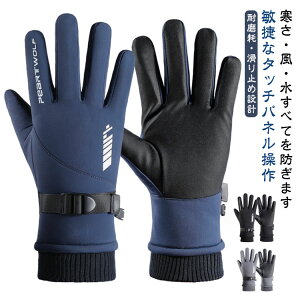 h O[u  Y fB[X h ~p X}zΉ H N ۉ h ~ ĂԂ t[X ] oCN g ~ H oCN oR ނ EH[LO TC