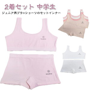 t@[Xgu LbY uW[ V[c Zbg ㉺Zbg 2Zbg WjAu {NT[  Rbg {NT[V[c  w ̎q Ci[ w q K[Y m