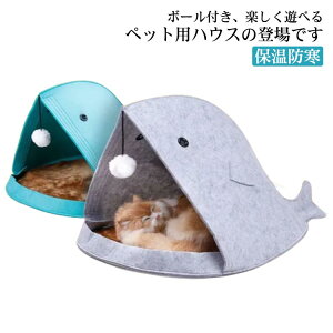 ybgnEX h[^ Lxbh ybgQ xbh ΍ {[t ybgQ tFg 薰 Lp ybgxbh ۉh 􂦂 L ^   T