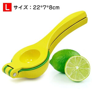 2in1 i nhW[T[ ʏ`i 蓮 i ʏ` i W[T[ ƃCJb^[ t[cʏ` O[vt[ci kވ IWW