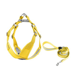 Sy n[lX ^ ^ V  [ht p  [hZbg IV  Ȃ ߕtȂ i߂Ȃ pXeJ[ U o y K ȒP `