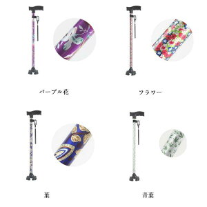    l_   y p   s⏕ fB[X  Lk Lk XebL  ԕ 11iK nr fB[X  hV̓ ̓ a v[