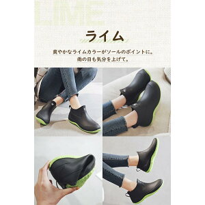 Cu[c fB[X Y C CV[Y V[gu[c AEghA h C V[g  JC JWA yA jp