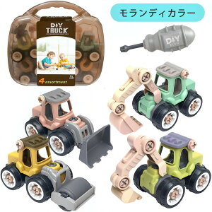 bsOΉ Ԃ gݗ Hԗ 4Zbg DIY mߋ VxJ[ ~jJ[ V V j̎q ̎q v[g