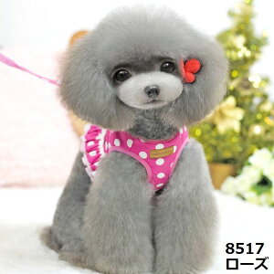  n[lX [h Zbg ybgpi ^ ^ L U  [X t tA hbg bV ʋC  xXg  [v UR [V Ђ 