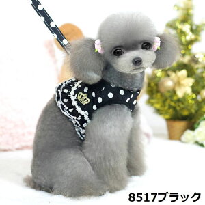  n[lX [h Zbg ybgpi ^ ^ L U  [X t tA hbg bV ʋC  xXg  [v UR [V Ђ 