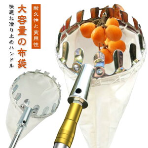 |p sbLOc[ t[csbJ[ }؂΂ ʕn Lk y t[csbJ[ } ʕ nc[ XeX ʕLb`[ x[sbJ[ ʕE