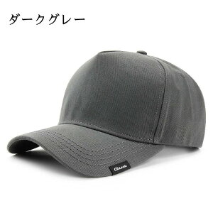 Lbv Y 傫TCY 싅X StXq Xq UVJbg  傫 rbOTCY ̂̑傫ȕ 65cm 悯 AEghA }\  ubN _[NO[ F x[