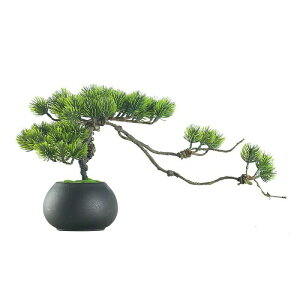 lH ~  lH ̖ ݂ lHgt JGf 㕗 t[|bg lHϗtA tFCN O[  tFCNO[ 픫  v[gɂ fUC  z[ 