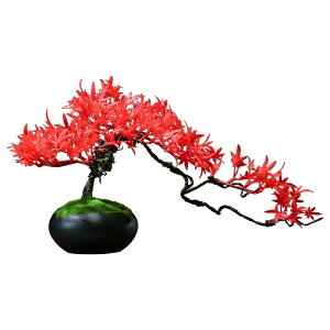 lH ~  lH ̖ ݂ lHgt JGf 㕗 t[|bg lHϗtA tFCN O[  tFCNO[ 픫  v[gɂ fUC  z[ 