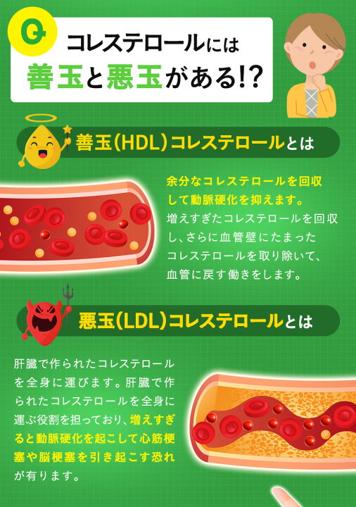 楽天市場】\訳あり3個セット/ GENBI コレステ サプリメント 60粒 機能性表示食品 届出番号 E800 ダイエット 健康 美容 サプリ 松樹皮由来プロシアニジン 悪玉コレステロール LDL げんびコレステ ダイエットサプリ アウトレット 半額 SALE 特価 送料無料 ... 楽天市場】\訳あり3個セット/ GENBI コレステ サプリメント 60粒 機能性表示食品 届出番号 E800 ダイエット 健康 美容 サプリ 松樹皮由来プロシアニジン 悪玉コレステロール LDL げんびコレステ ダイエットサプリ アウトレット 半額 SALE 特価 送料無料 ...