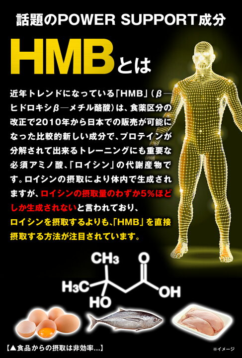 楽天市場】【訳あり69%OFF】3袋セット 大容量｜HMB MEGA3270 or 