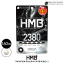 【2個セット】10%OFF!【HMB 2380】サプリメント【送料無料】HMBCa 2,380mg配合! BCAA ワイルドビルドマッスル エイチエムビー HM...
