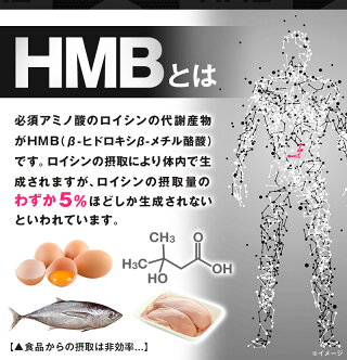 HMB2380サプリメントHMBCaBCAA筋トレトレーニング送料無料