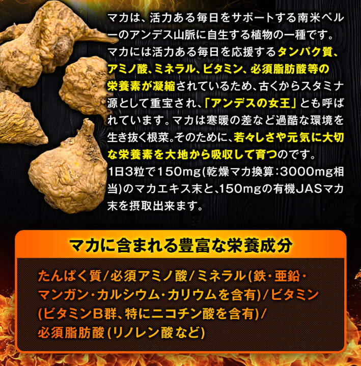10176円 引き出物 JAYCO. 筋トレ専用サプリ LAC ロイシン アルギニン シトルリン パウダー アップル 240g 10176円 引き出物 JAYCO. 筋トレ専用サプリ LAC ロイシン アルギニン シトルリン パウダー アップル 240g