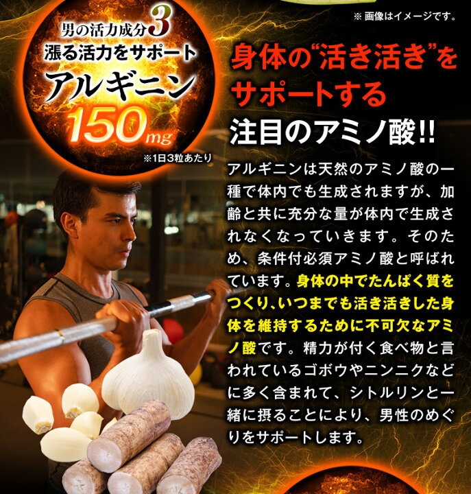 10176円 引き出物 JAYCO. 筋トレ専用サプリ LAC ロイシン アルギニン シトルリン パウダー アップル 240g 10176円 引き出物 JAYCO. 筋トレ専用サプリ LAC ロイシン アルギニン シトルリン パウダー アップル 240g