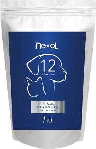 ybgpTvg NEXOL lN\ 20 Yx99.9 NMN Tv nanoPDS   ӂ肩 hbOt[h Lbgt[h ybgt[h a  L   { N⏕Hi 