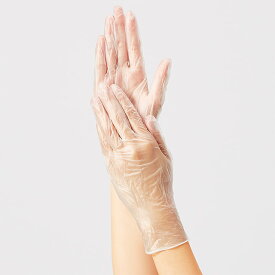プラスチック手袋 HGナースグッズ グローブ手袋使い捨て Lサイズ パウダーフリー 医療用 保育士 クリニック 歯科医 エステ 看護師 介護士 アンファミエ